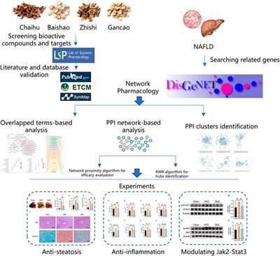 Frontiers | Network Pharmacology-Based Analysis On The Potential ...